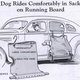 Illustration for article titled Best Auto Accessory Ever: Dog In A Bag